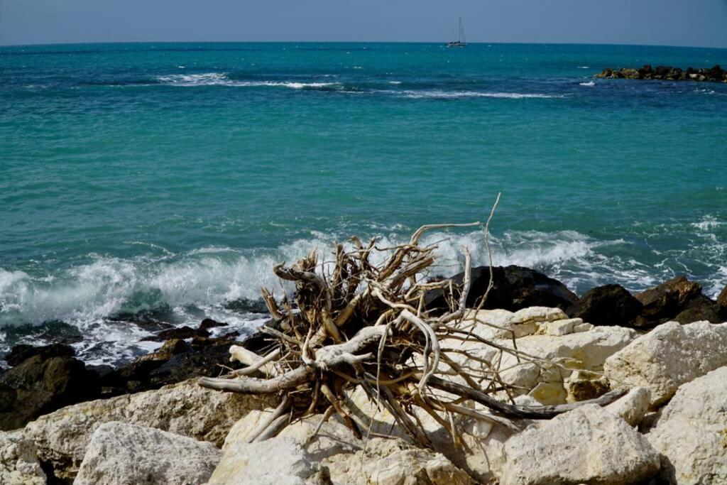 Апартаменты Il Mare In Un Bicchiere Шакка Экстерьер фото